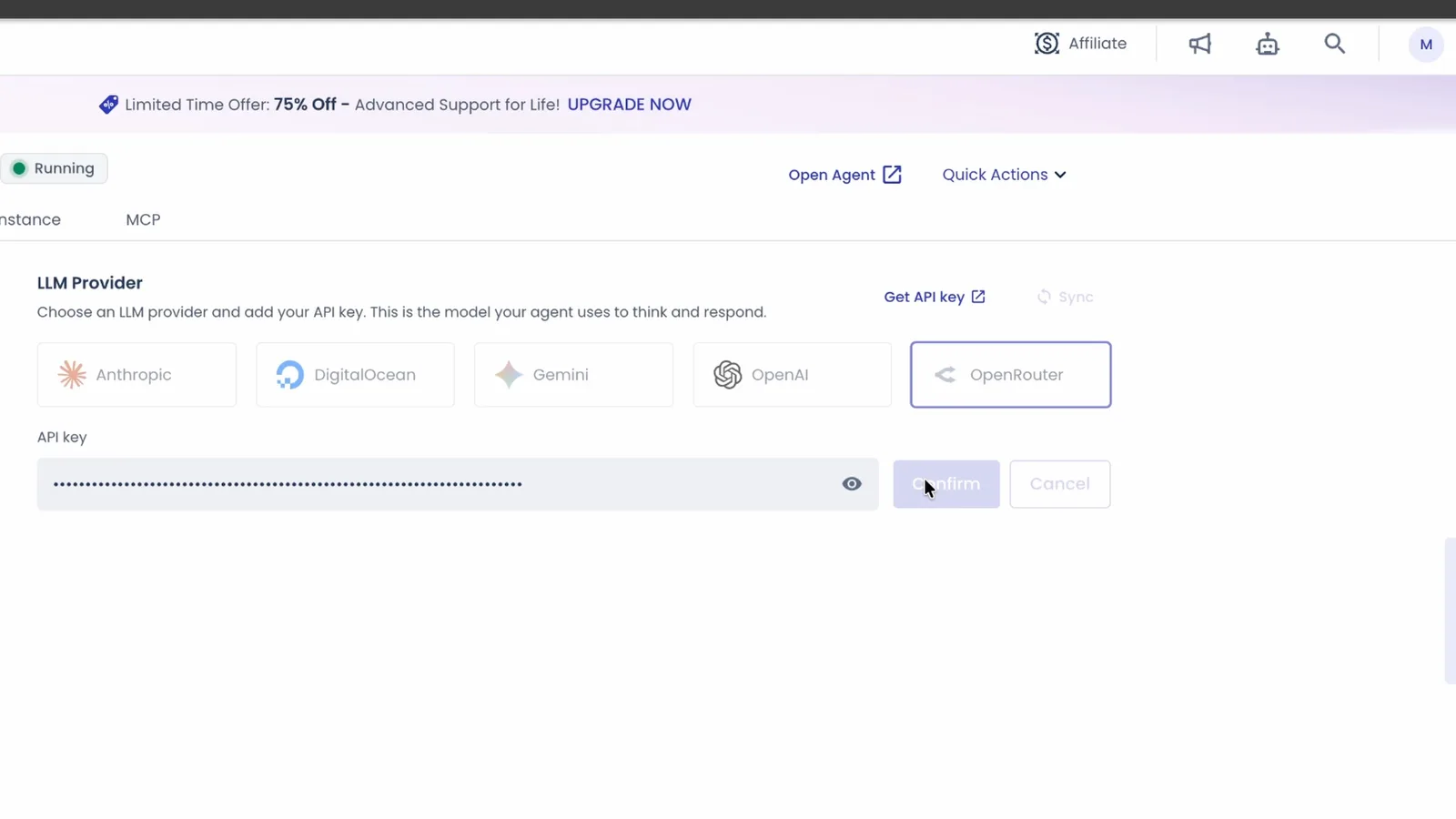 Cloudways instance settings showing the OpenRouter provider selected and the API key saved