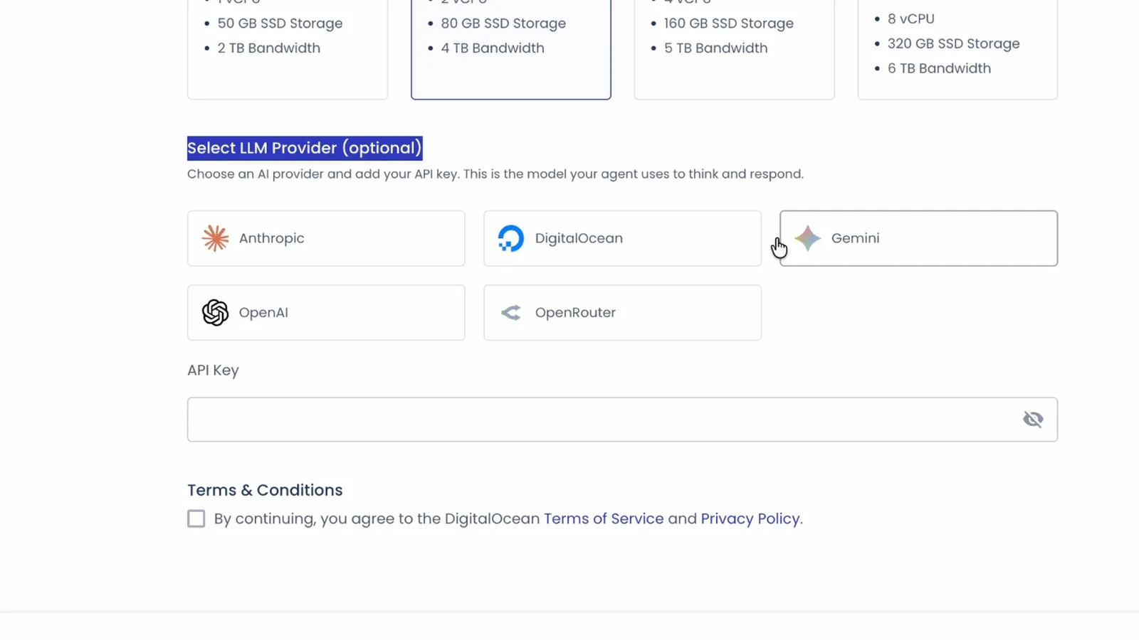Cloudways LLM provider step with Anthropic, DigitalOcean, Gemini, OpenAI and OpenRouter options and the API key field