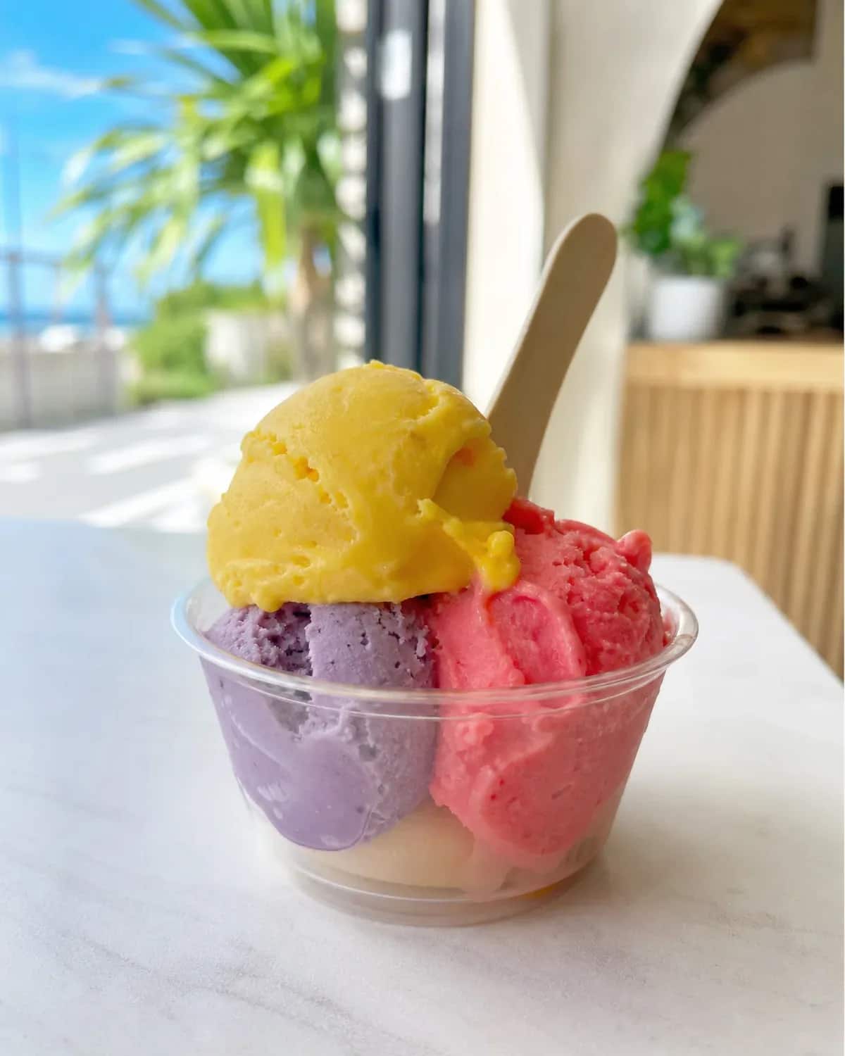 Input gelato cup photo