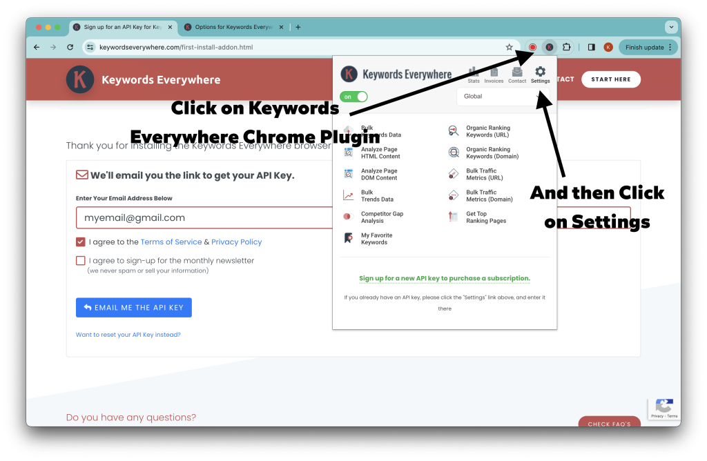 Request Keywords Everywhere API Key